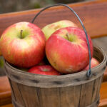 Everyday economics and the apple's monopolistic competition.