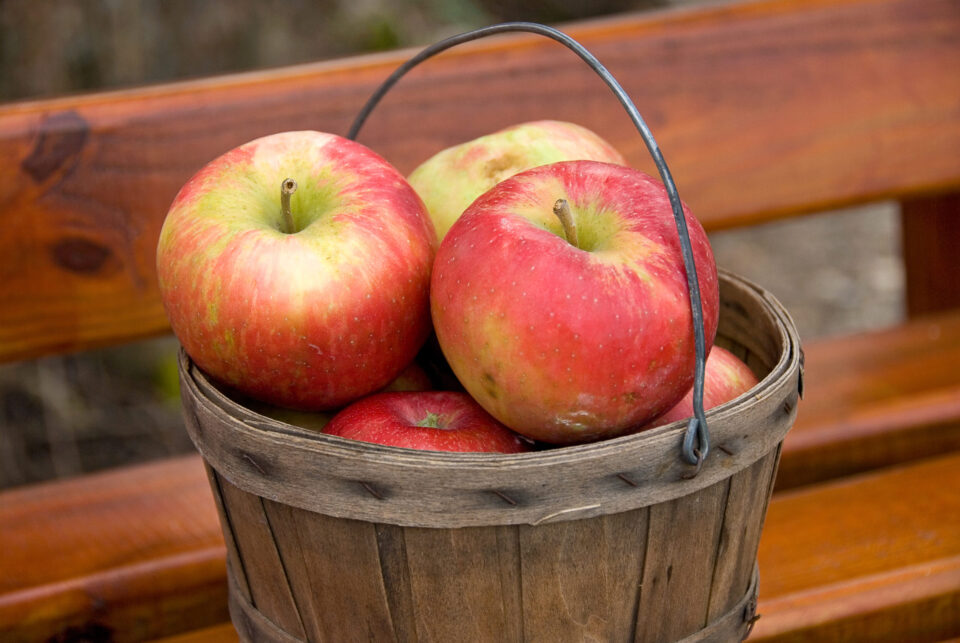 Everyday economics and the apple's monopolistic competition.