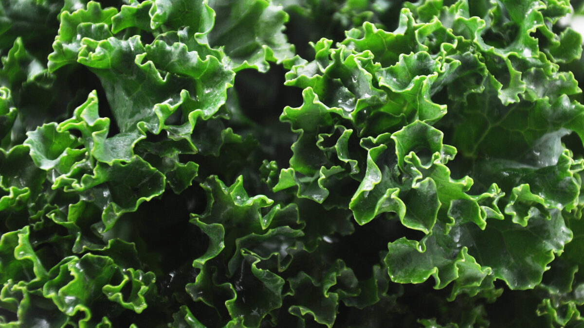 everyday economics and food trends