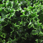 everyday economics and food trends