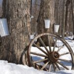 maple syrup reserve