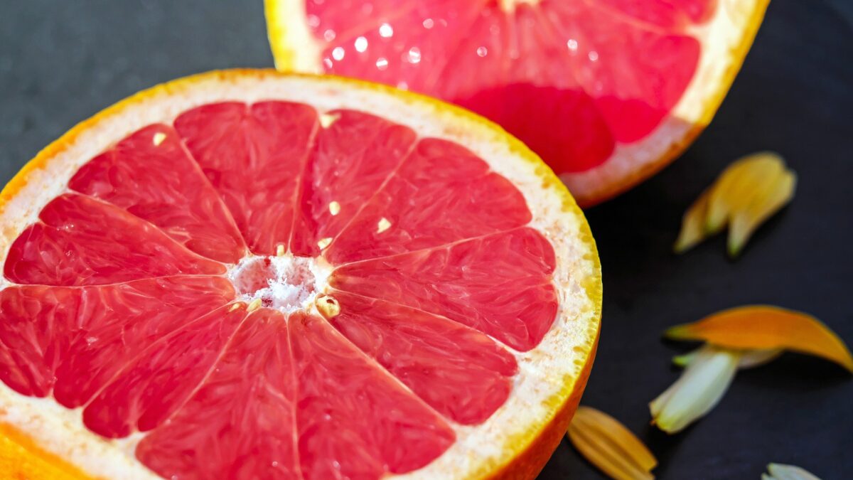 Florida citrus industry