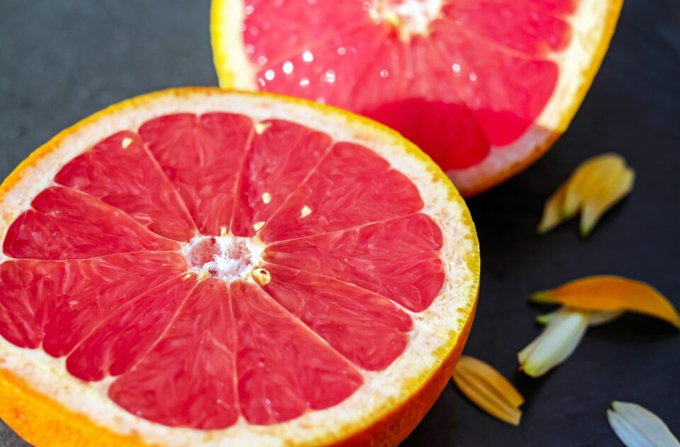 Florida citrus industry