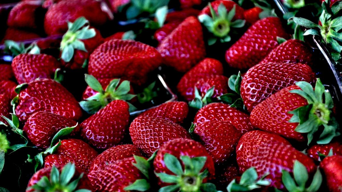 Weekly economic news roundup and free trade for strawberries and chickens