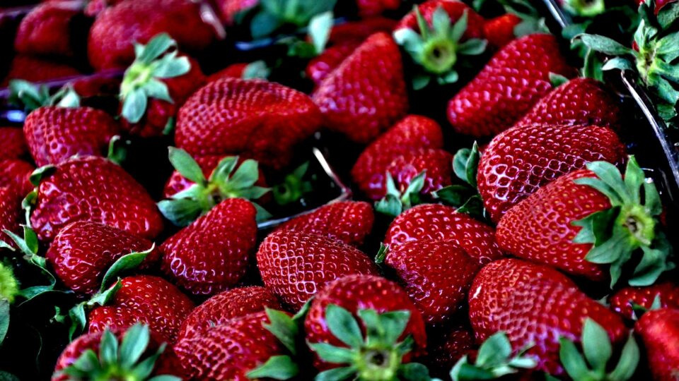 Weekly economic news roundup and free trade for strawberries and chickens