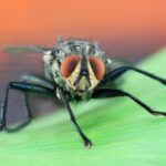 weekly roundup and behavioral economics nudges