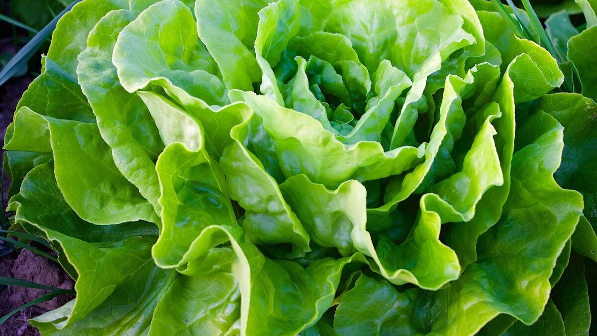 Weekly rounup