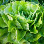 Weekly rounup