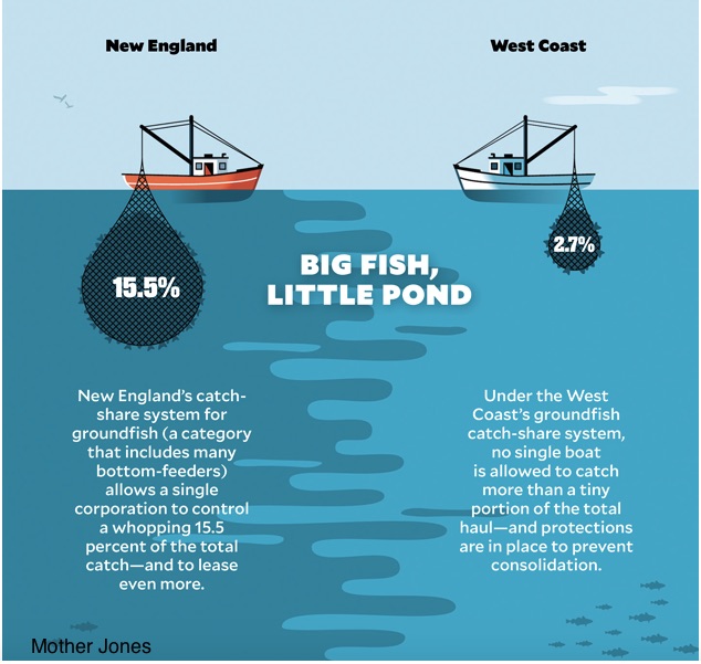 Tragedy of the commons and catch based fishing