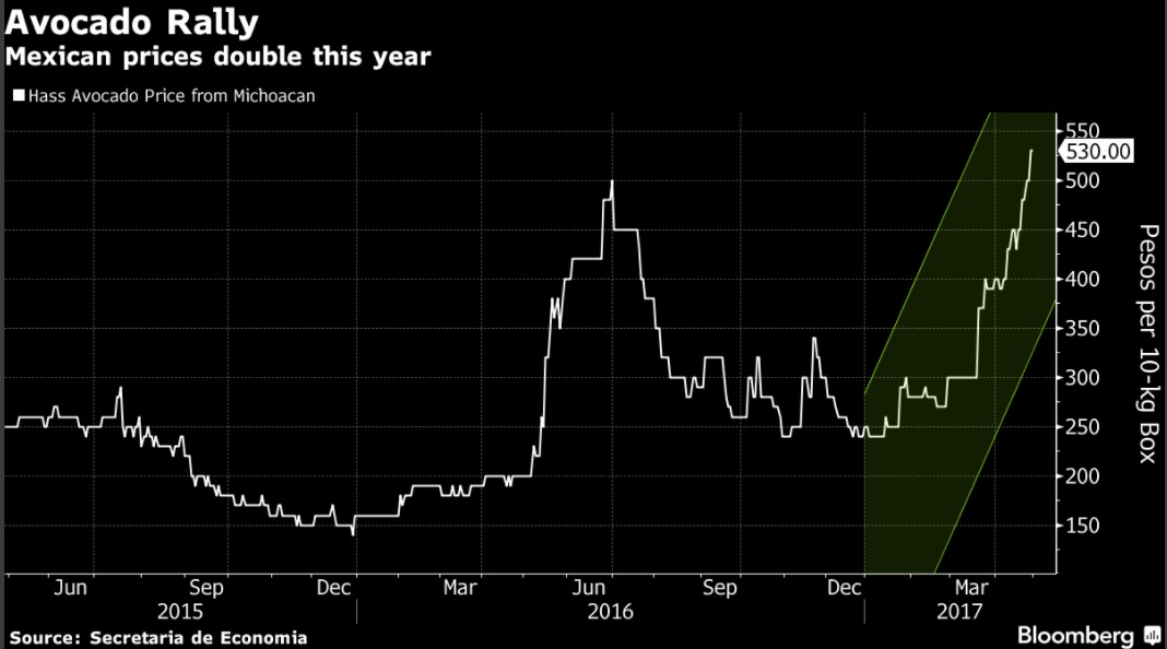avocado prices