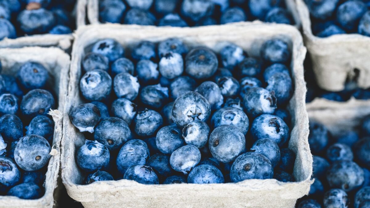 Weekly economic news roundup and blueberry economics