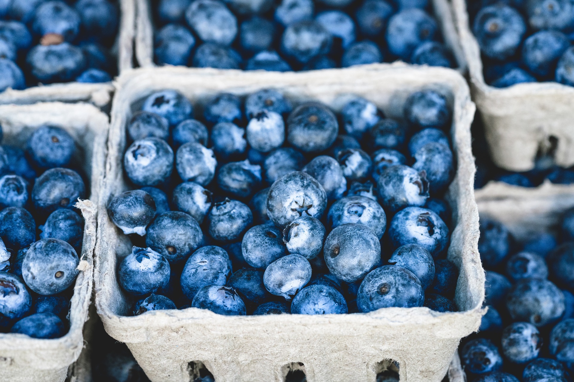 Weekly economic news roundup and blueberry economics