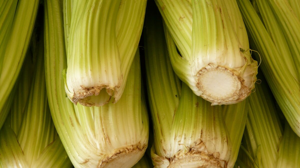 Weekly Economic News Roundup and food status symbols