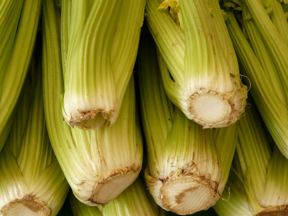 Weekly Economic News Roundup and food status symbols