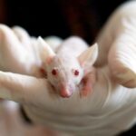Weekly Economic News Roundup and China's R&D