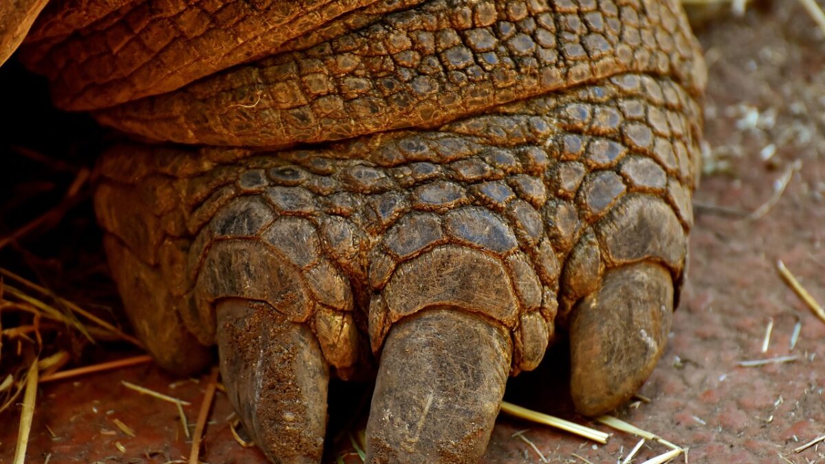 Weekly economic news roundup and a metric mixup