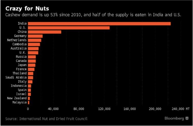 cashew globalization
