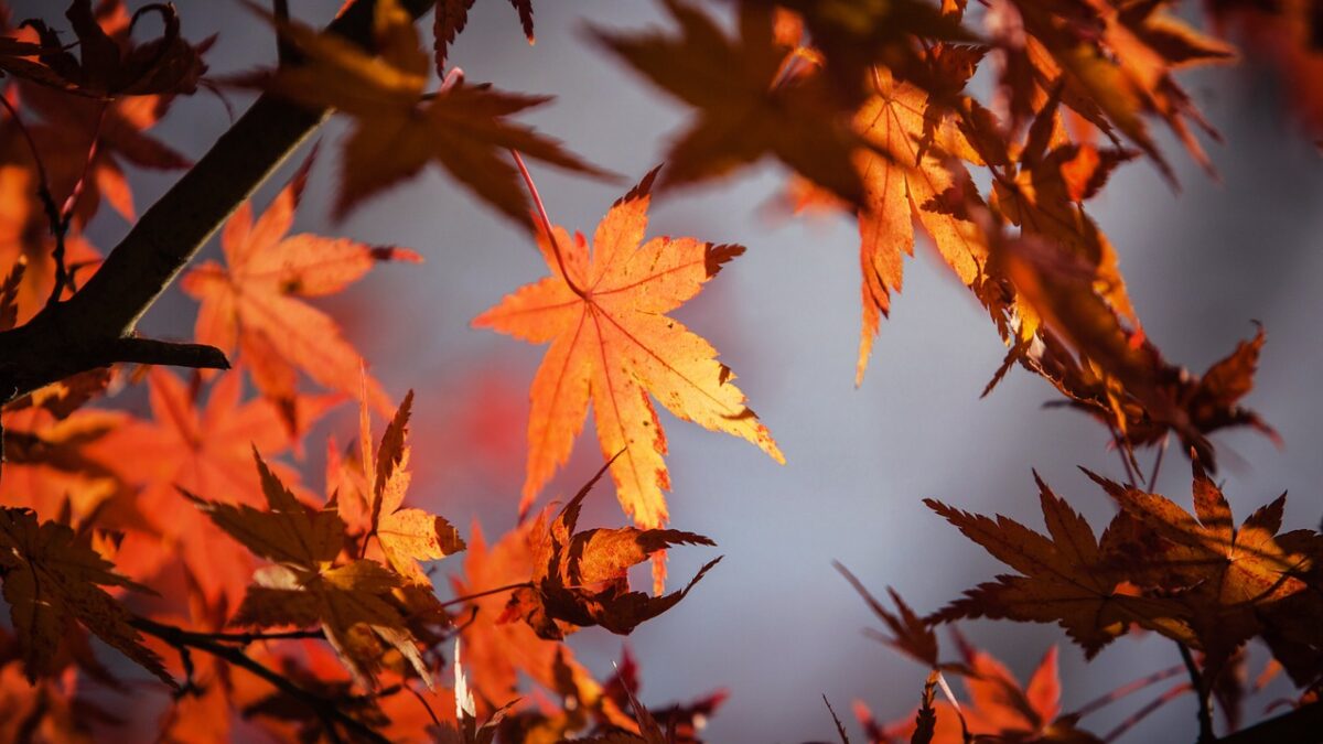 Weekly economic news roundup and air pollution