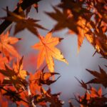 Weekly economic news roundup and air pollution