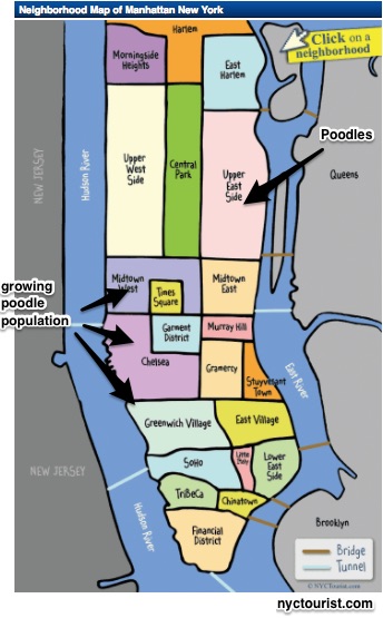 NYC dog registrations as an economic indicator