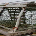 Weekly Economic News Roundup and Maine's lobster exports