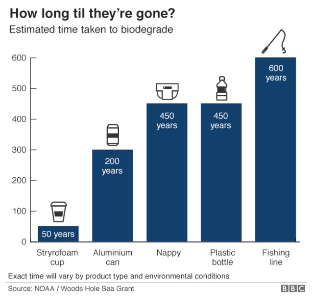 plastic-free sustainability