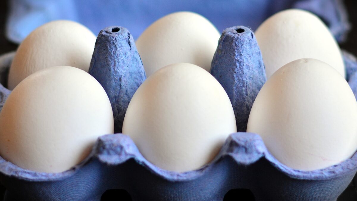 Weekly Economic News Roundup and egg price fixing