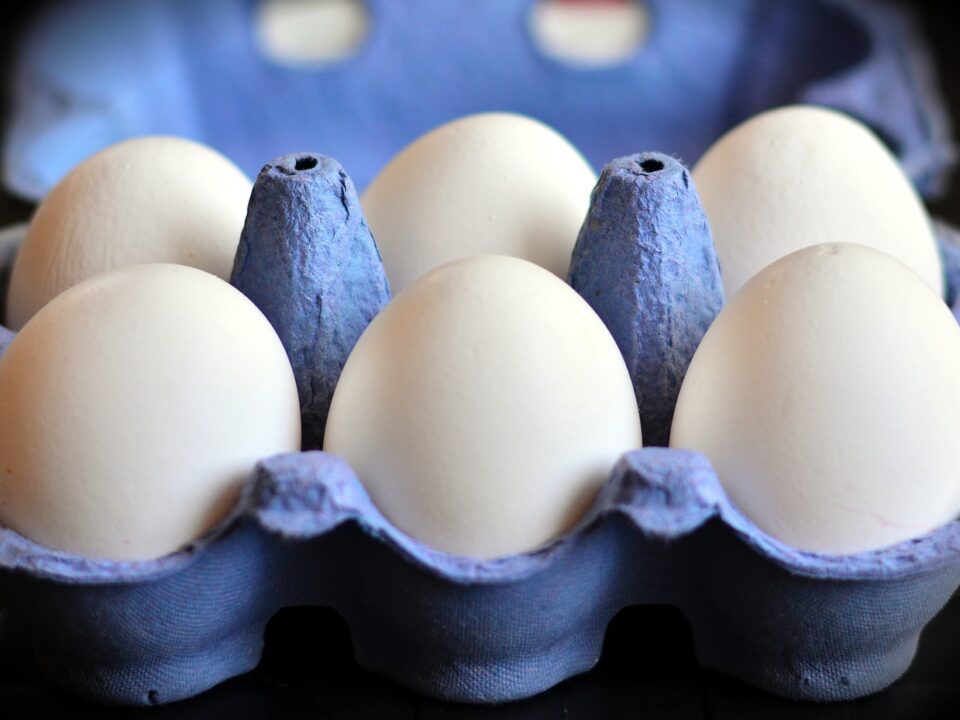 Weekly Economic News Roundup and egg price fixing