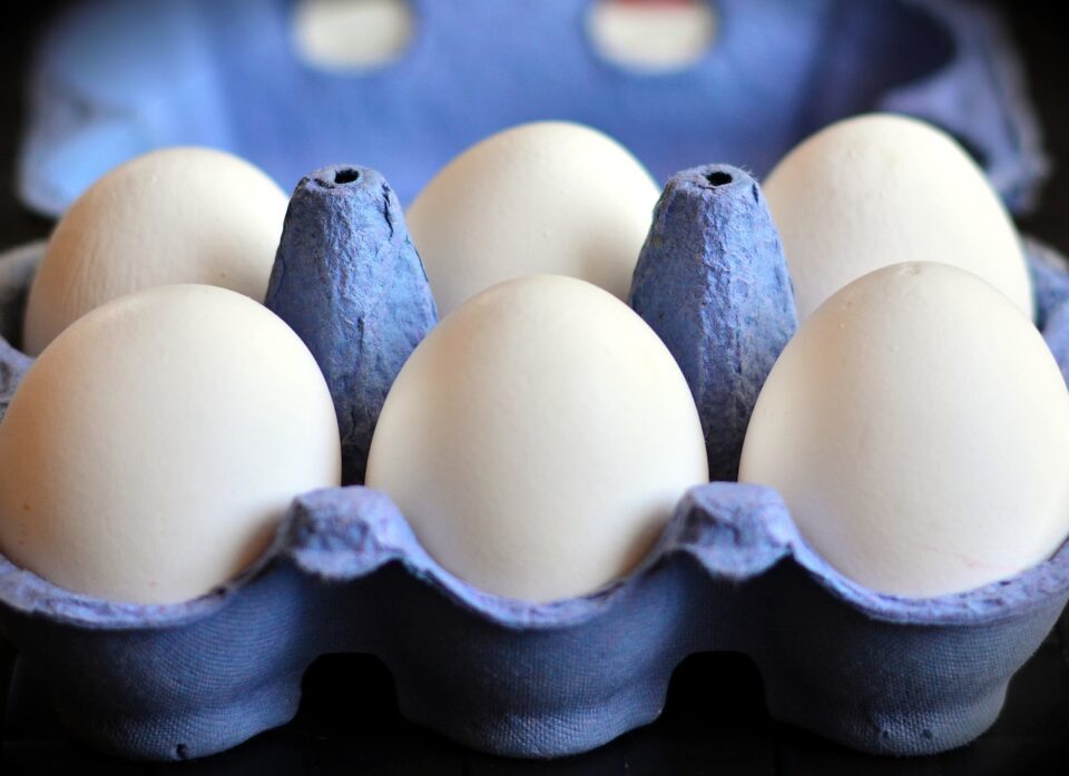 Weekly Economic News Roundup and egg price fixing