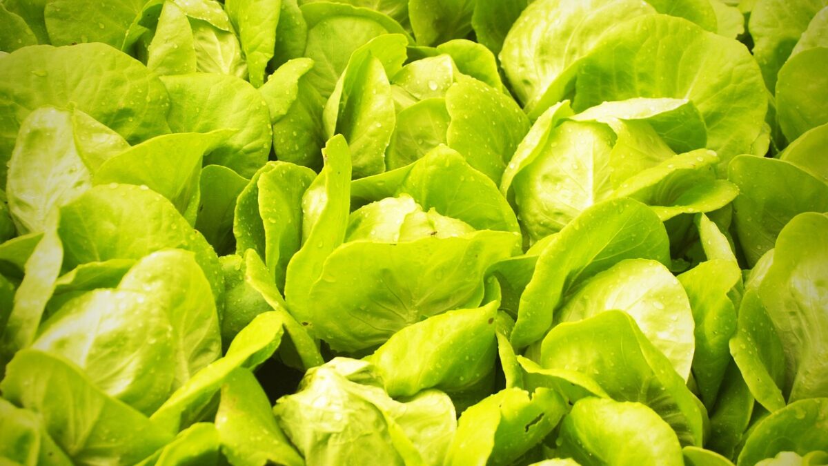 Weekly Economic News Roundup and indoor farmers