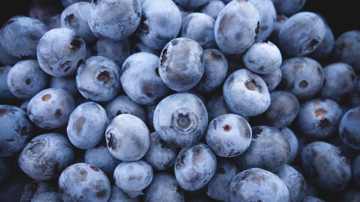 Weekly Economic News Roundup and paying for blueberries