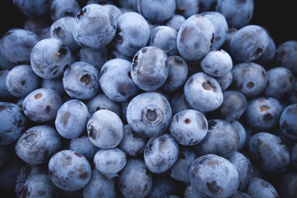 Weekly Economic News Roundup and paying for blueberries