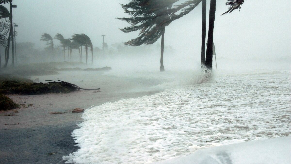 Economic news roundup and Catastrophe Bonds