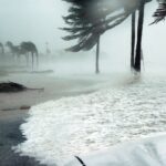 Economic news roundup and Catastrophe Bonds