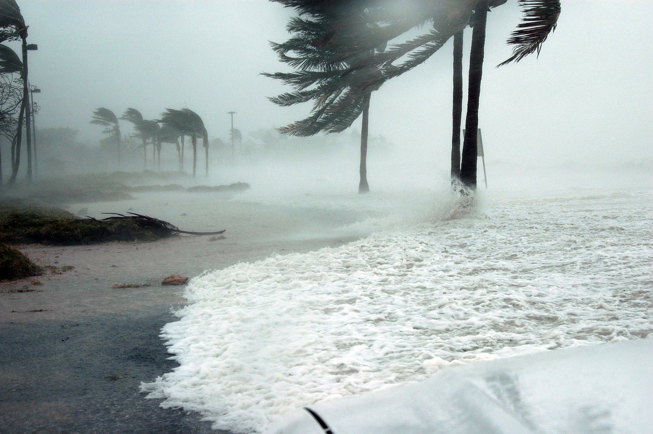 Weekly Economic News Roundup and weather and climate disaster cost