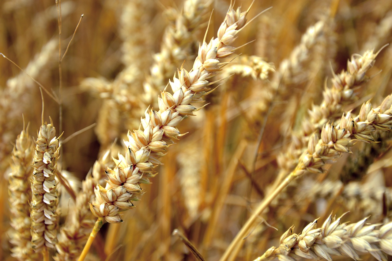 economic news roundup and farmer protests
