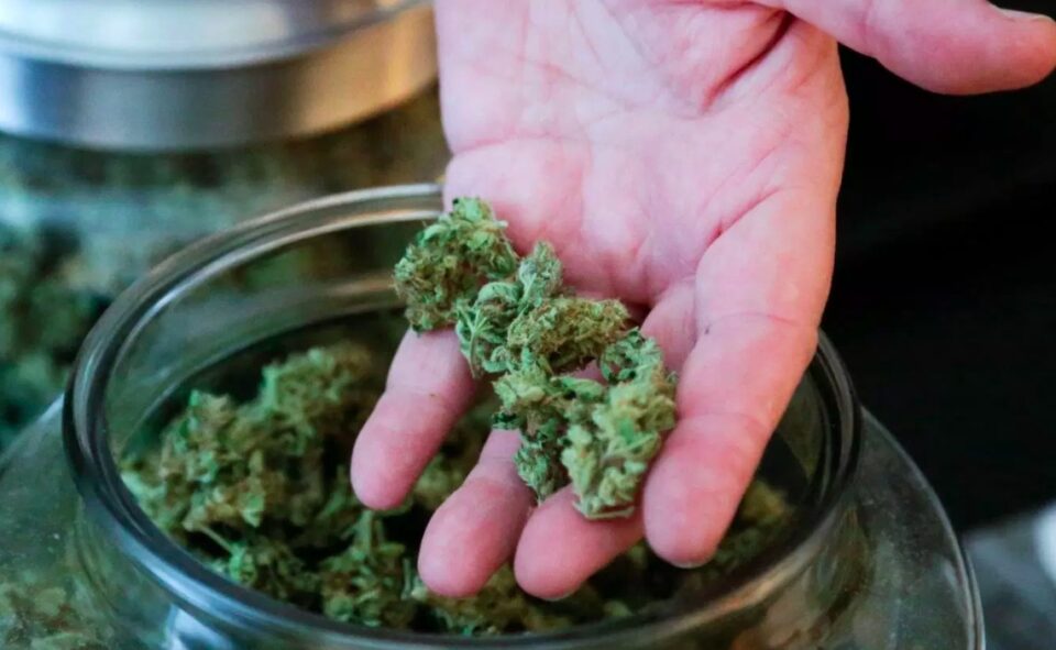 Weekly Economic News Roundup and Canada's marijuana supply