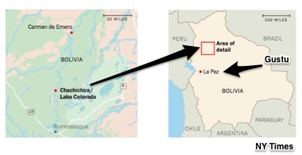 Amazon markets