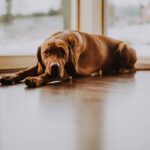 Weekly Economic News Roundup and customer service