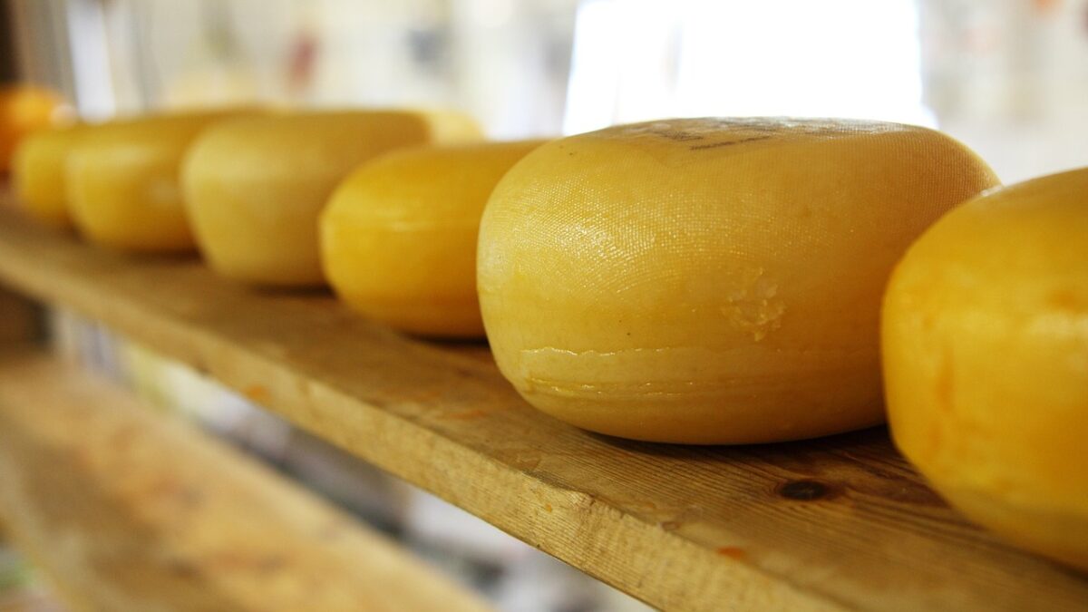 Weekly Economic News Roundup and cheese glut