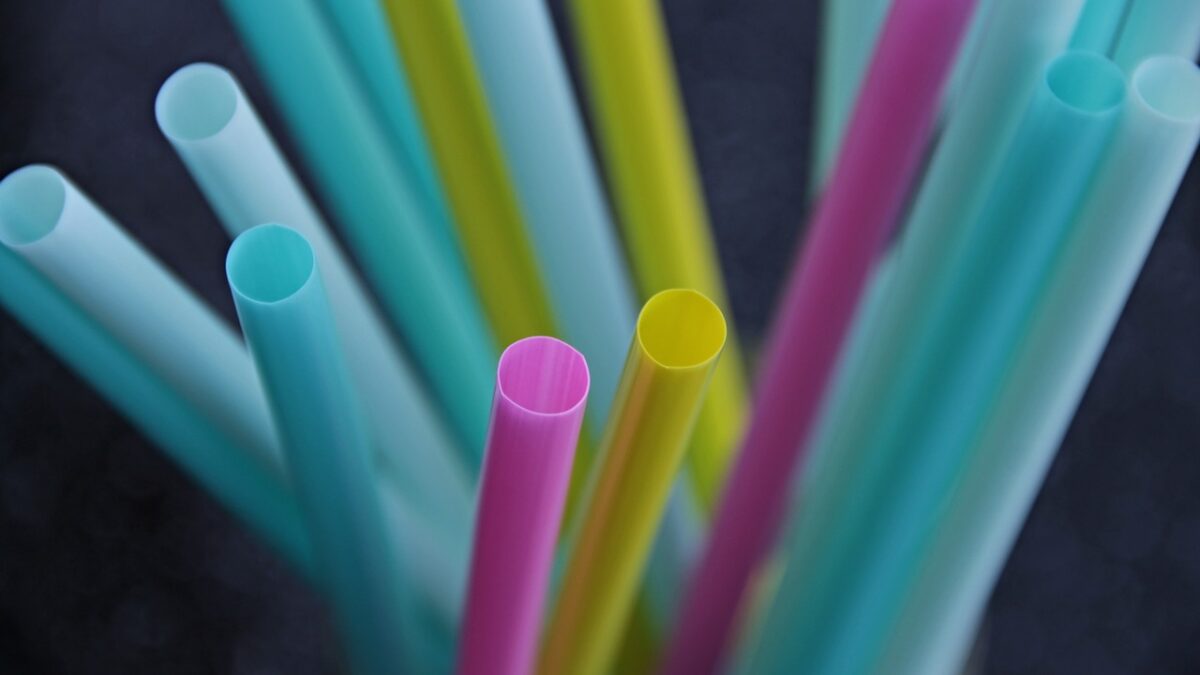 plastic straw bans