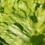 Weekly Economic News Roundup and product recalls