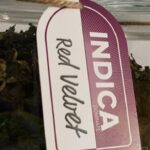 Weekly Economic News Roundup and marijuana surprises