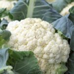Economic News Roundup and food labels