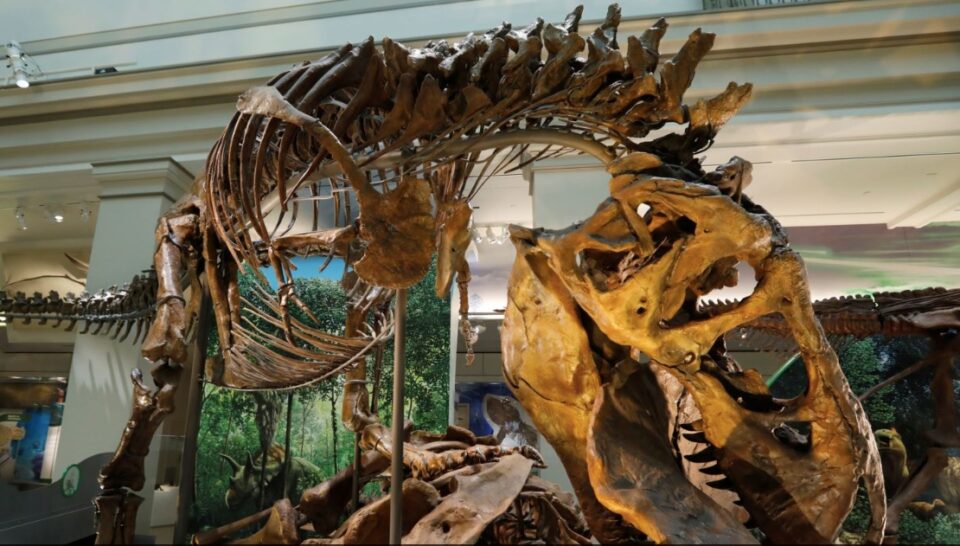 Smithsonian T.rex