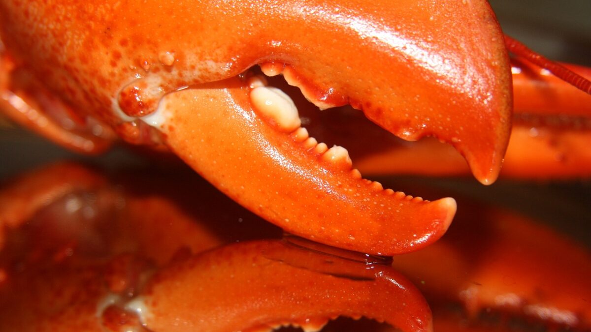 weekly economic news roundup and lobster fishing dispute