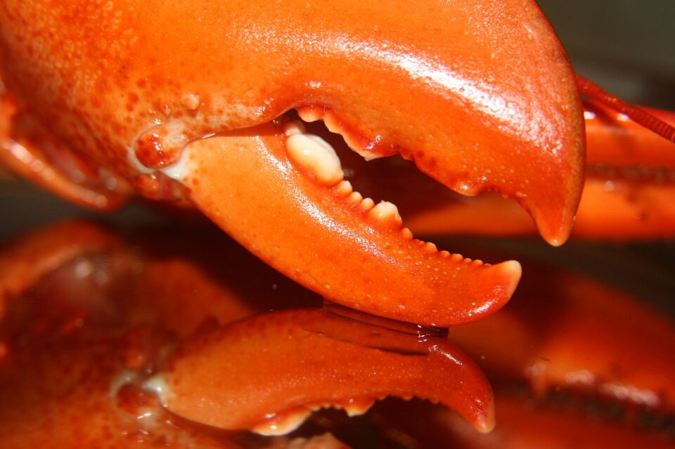 weekly economic news roundup and lobster fishing dispute