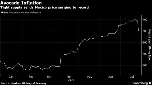soaring avocado prices