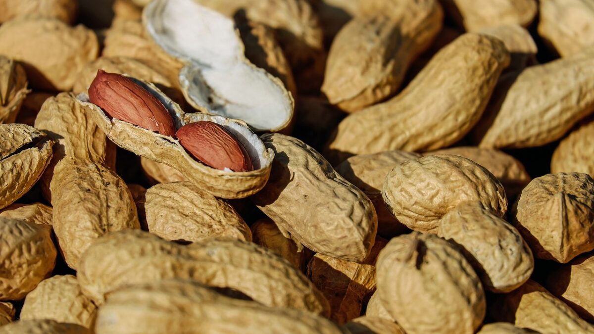 peanut research