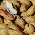 peanut research